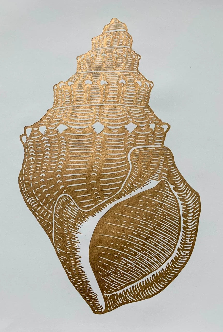 Ostrich Foot Shell - Linocut Print