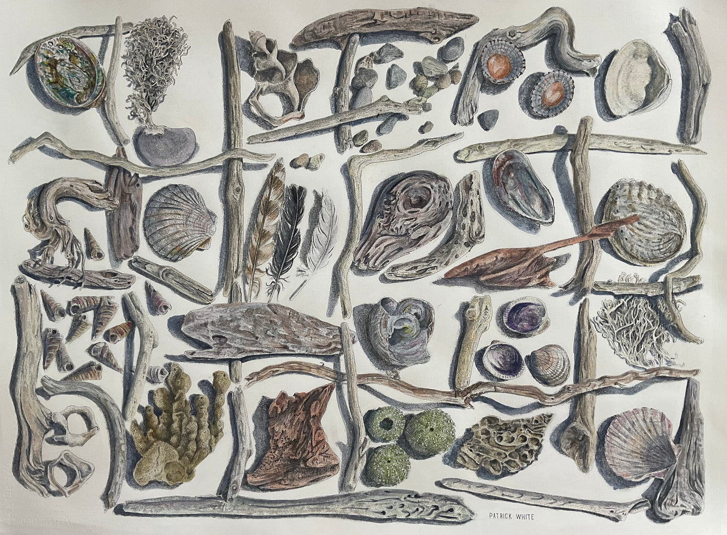 Beach Collection - Original Artwork