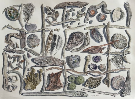 Beach Collection - Original Artwork