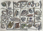 Beach Collection - Original Artwork