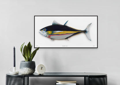 Bluefin Tuna