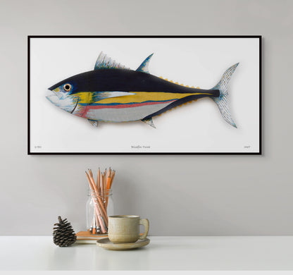Bluefin Tuna