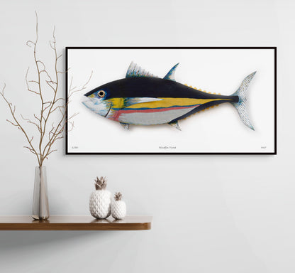 Bluefin Tuna