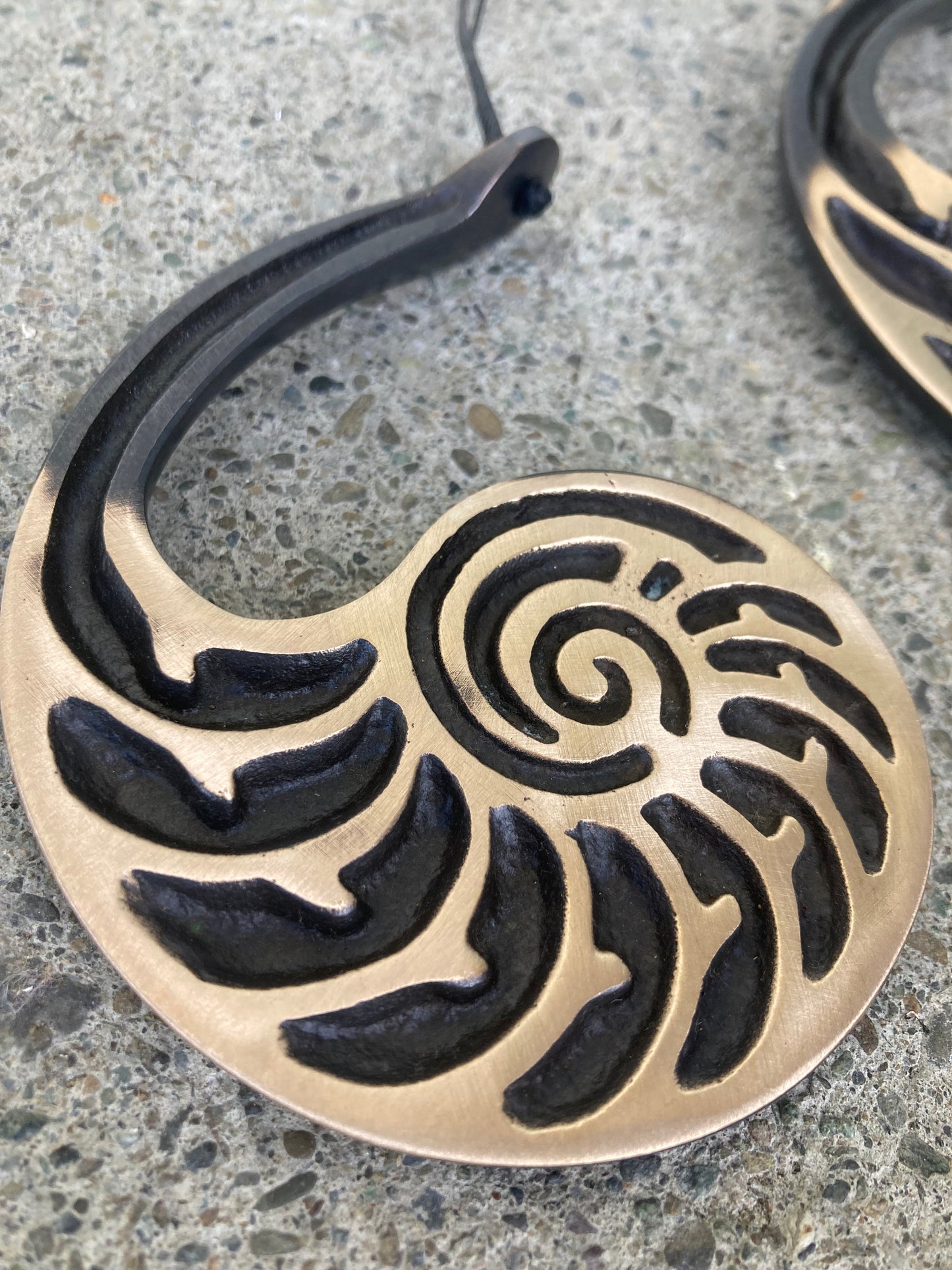 Bronze Nautilus Hanging Wall Art