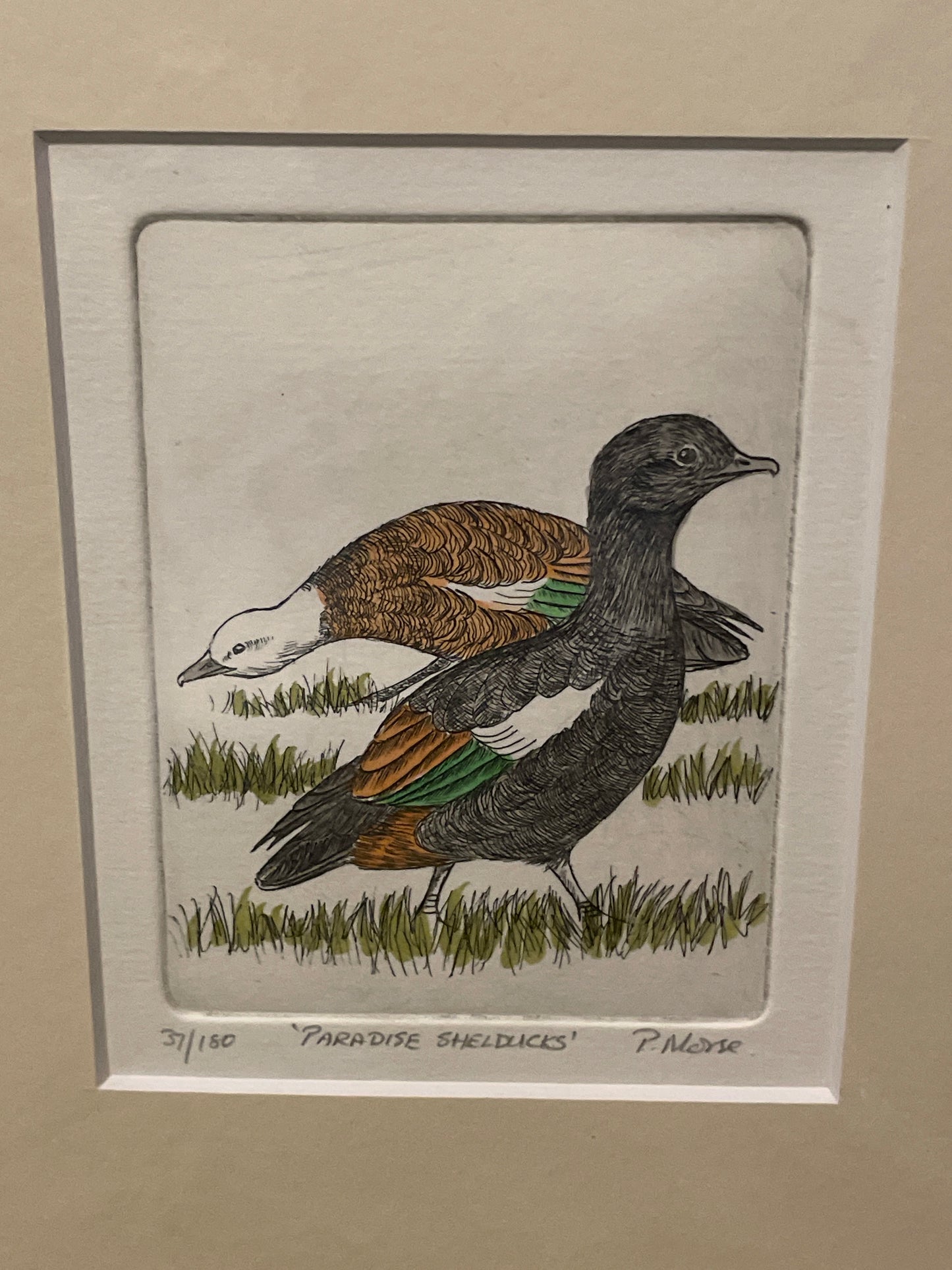 Paradise Shelducks Limited Edition Etching