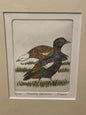 Paradise Shelducks Limited Edition Etching
