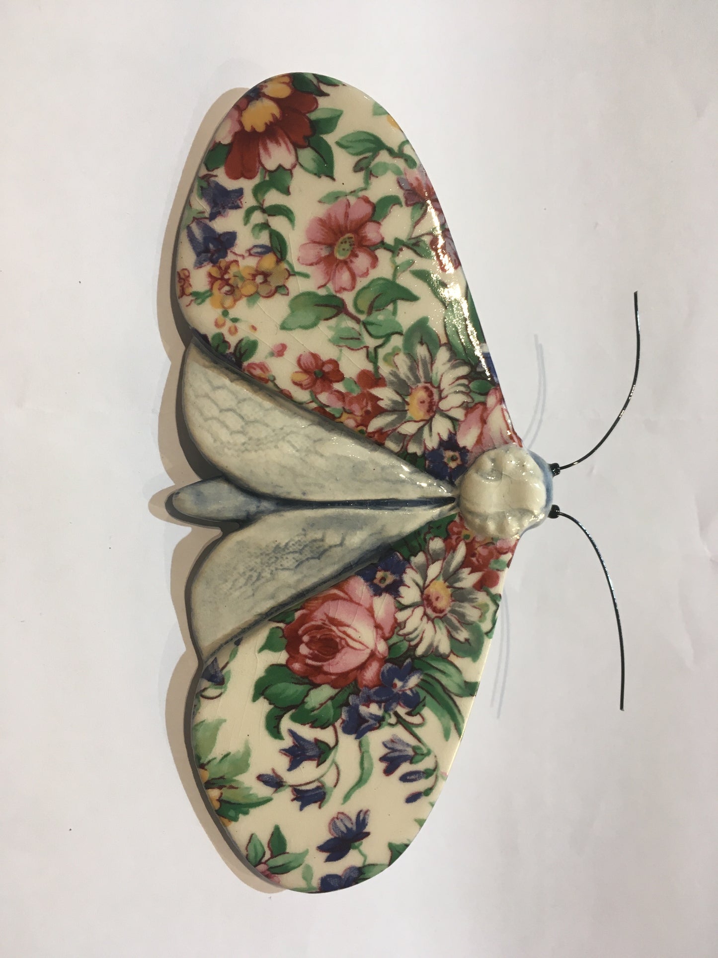 Porcelain Moths
