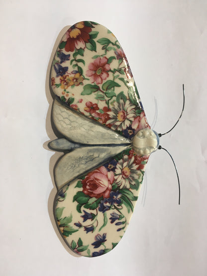 Porcelain Moths