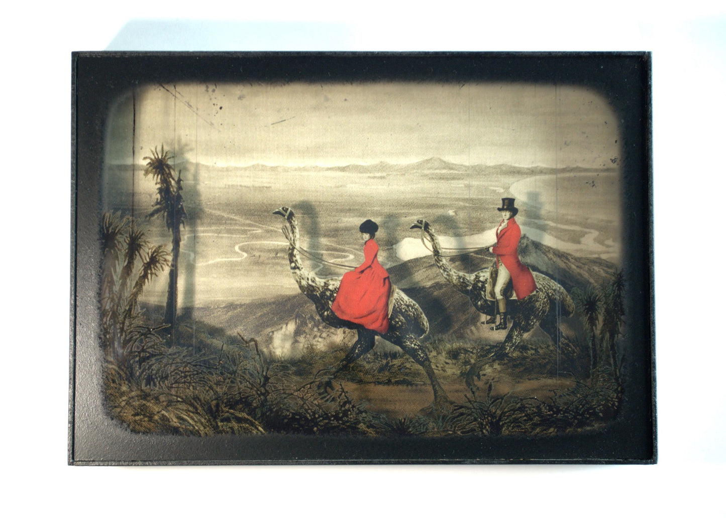 Moa Diorama - Canterbury