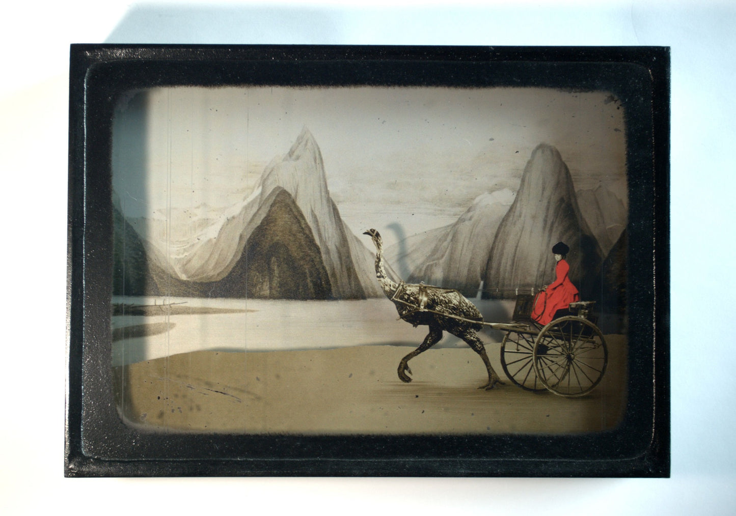 Moa Diorama - Milford