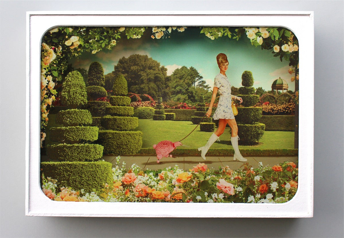 Kiwi Diorama - Spring – The Coolstore Gallery