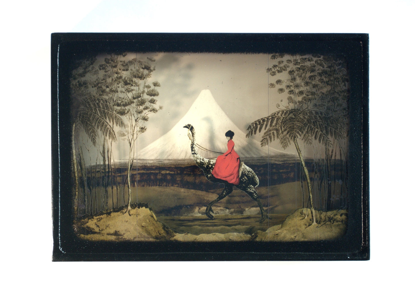 Moa Diorama - Taranaki