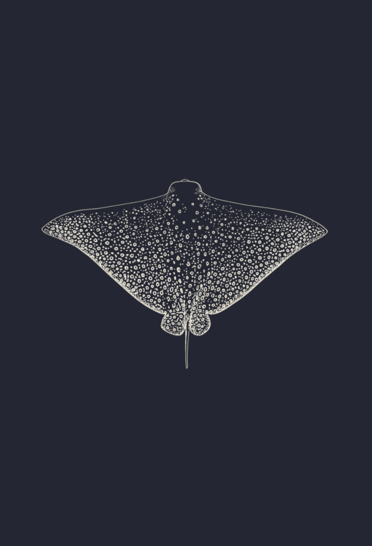 Eagle Ray