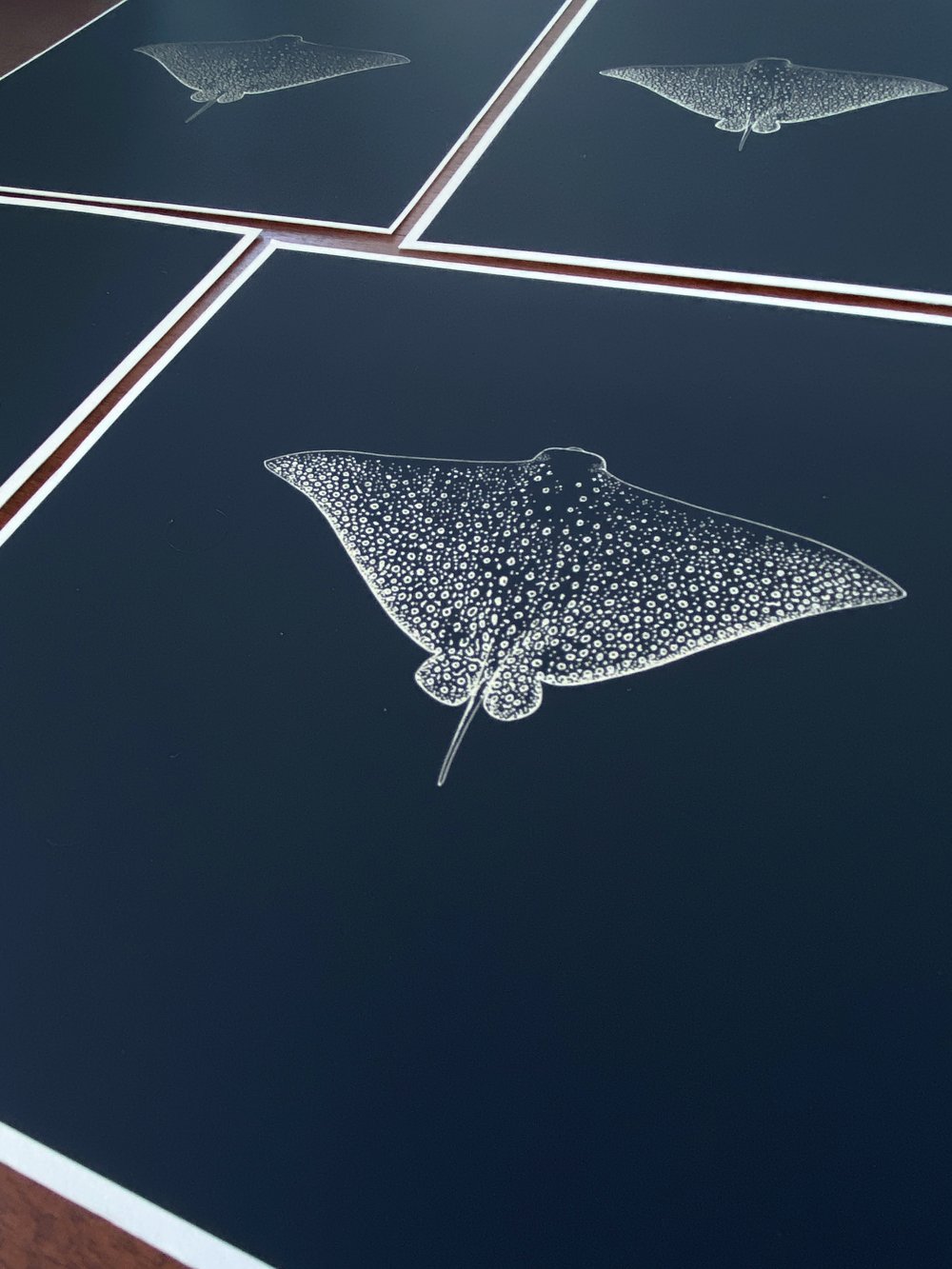 Eagle Ray