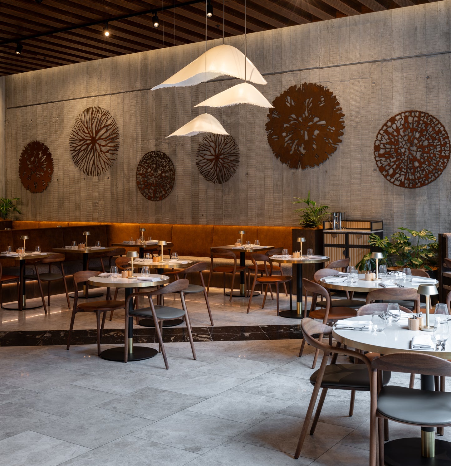 Tree Studies Wall Sculpture - Crown