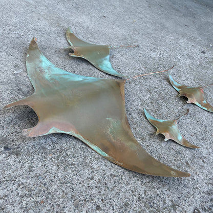 Copper Manta Rays - Set of 4