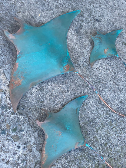 Copper Manta Rays - Set of 3