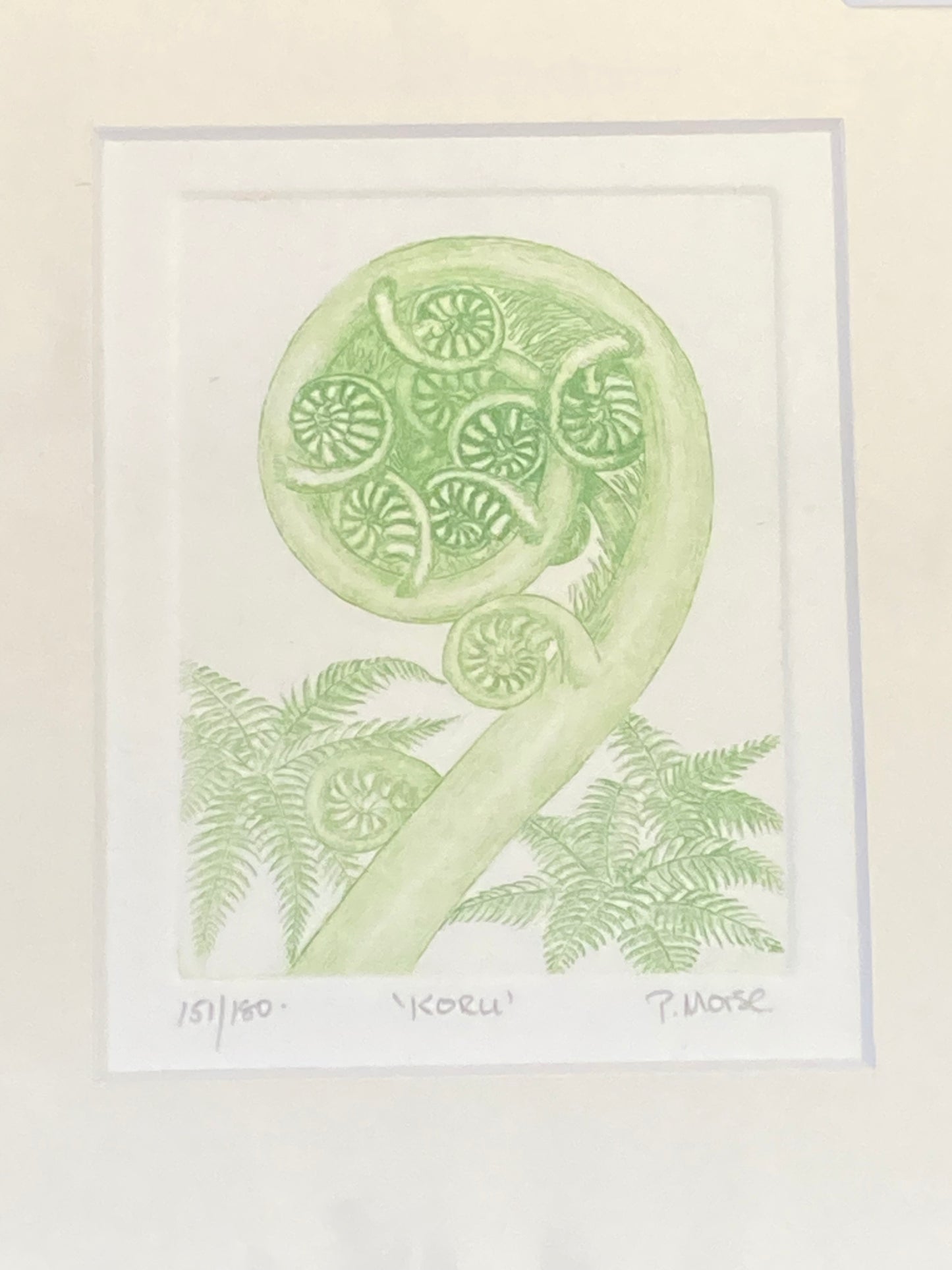 Koru Limited Edition Etching