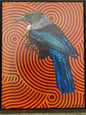 Tui