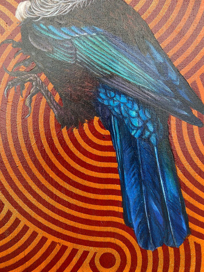 Tui