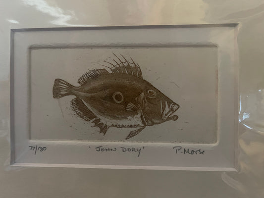 John Dory Limited Edition Etching