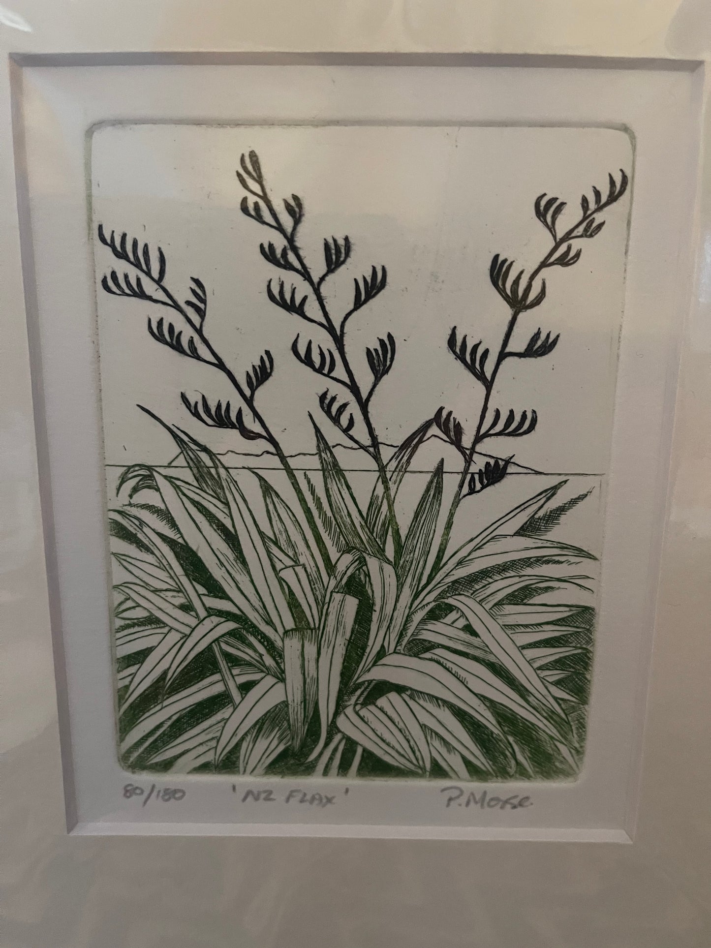 NZ Flax Limited Edition Etching