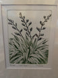 NZ Flax Limited Edition Etching