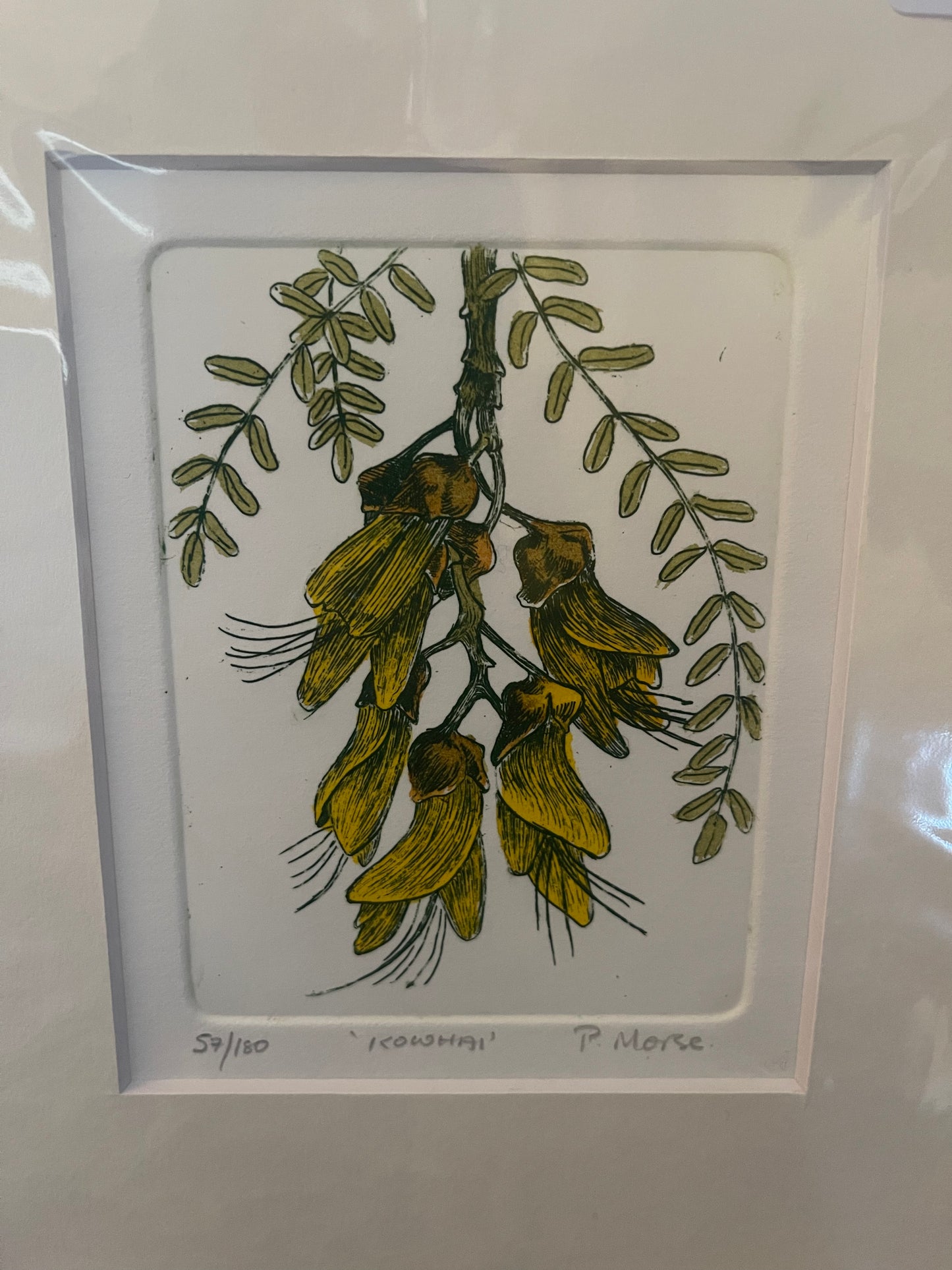 Kowhai Limited Edition Etching