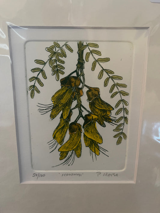 Kowhai Limited Edition Etching
