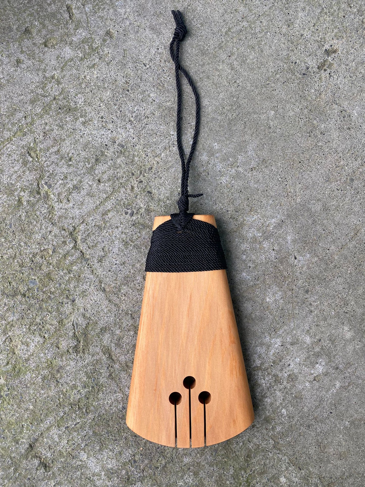 Piwakawaka - Kauri
