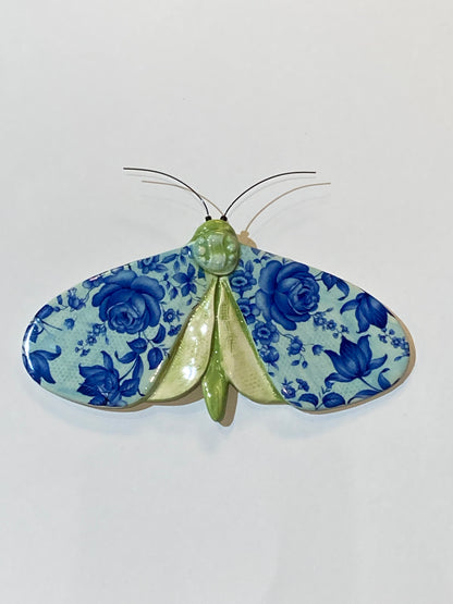 Porcelain Moths