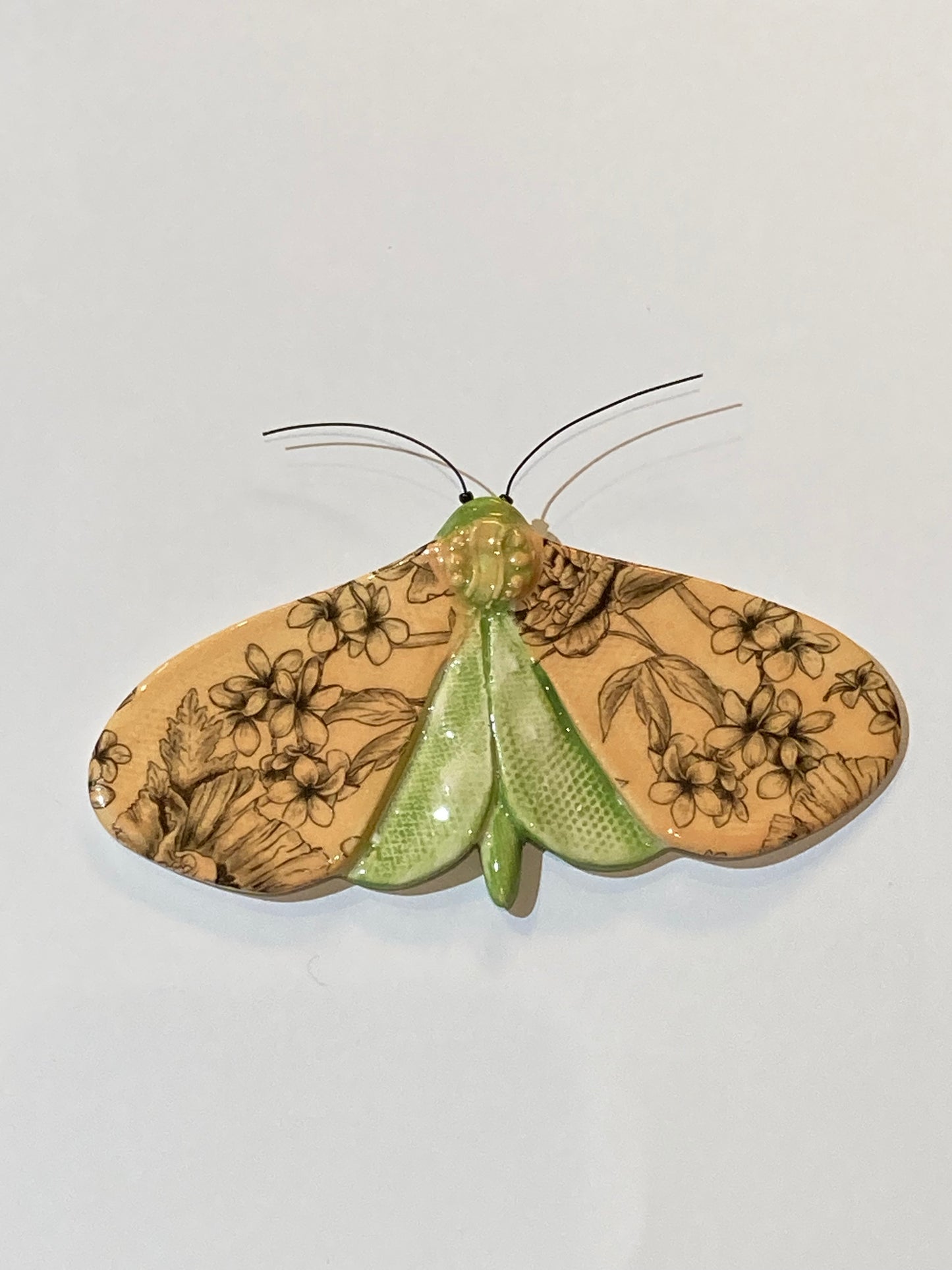 Porcelain Moths
