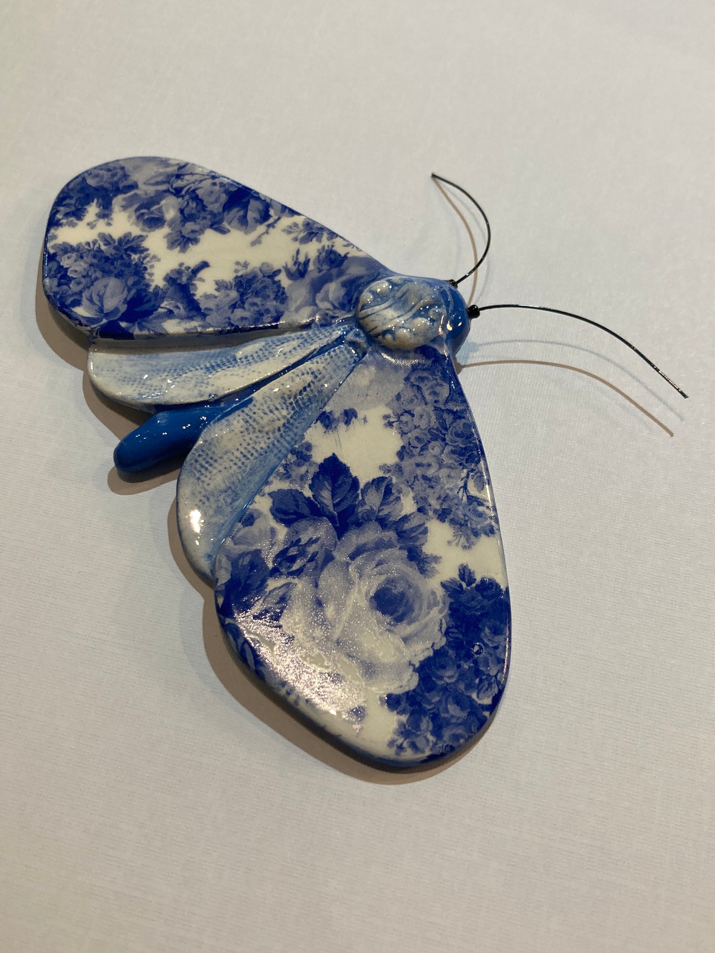 Porcelain Moths