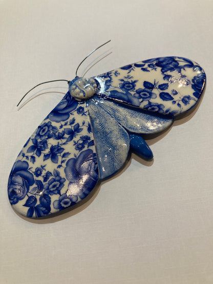 Porcelain Moths