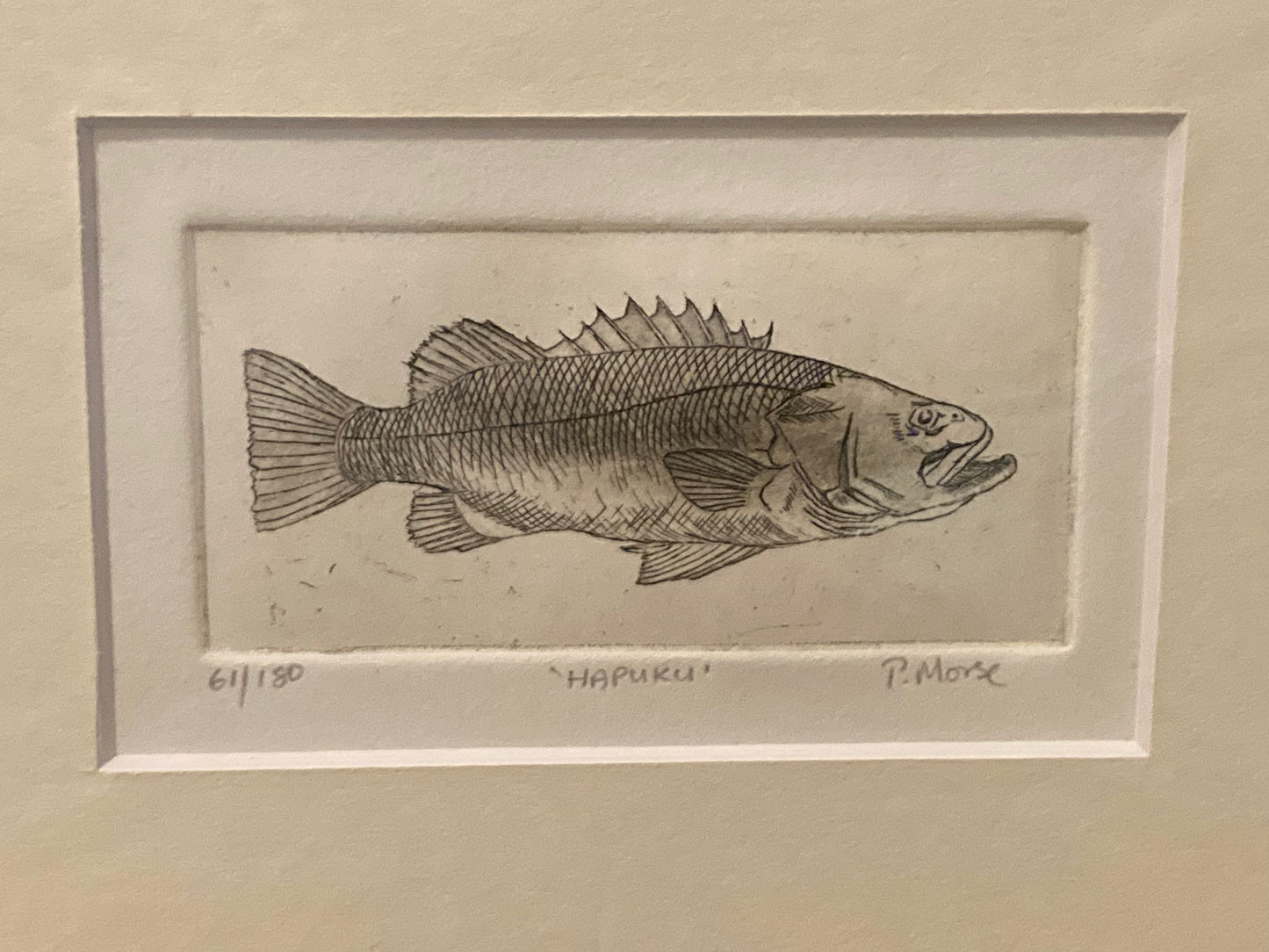 Hapuku Limited Edition Etching