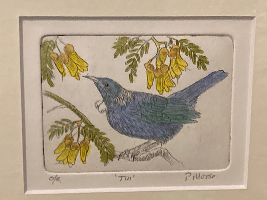Tui Etching