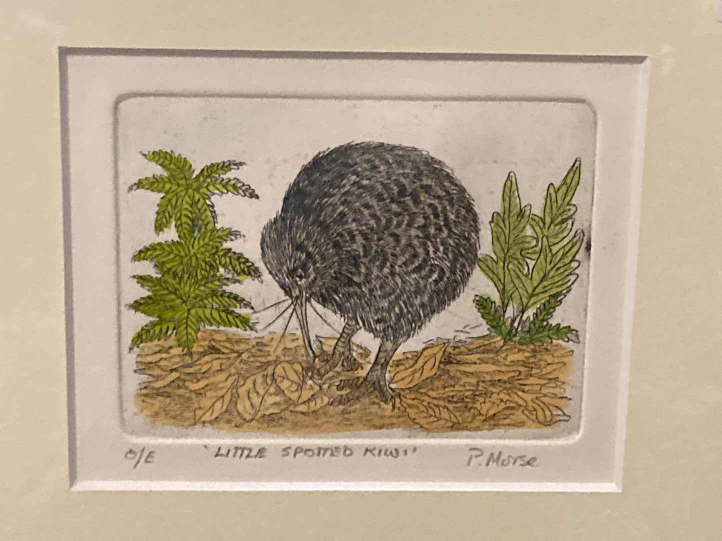 Kiwi Etching