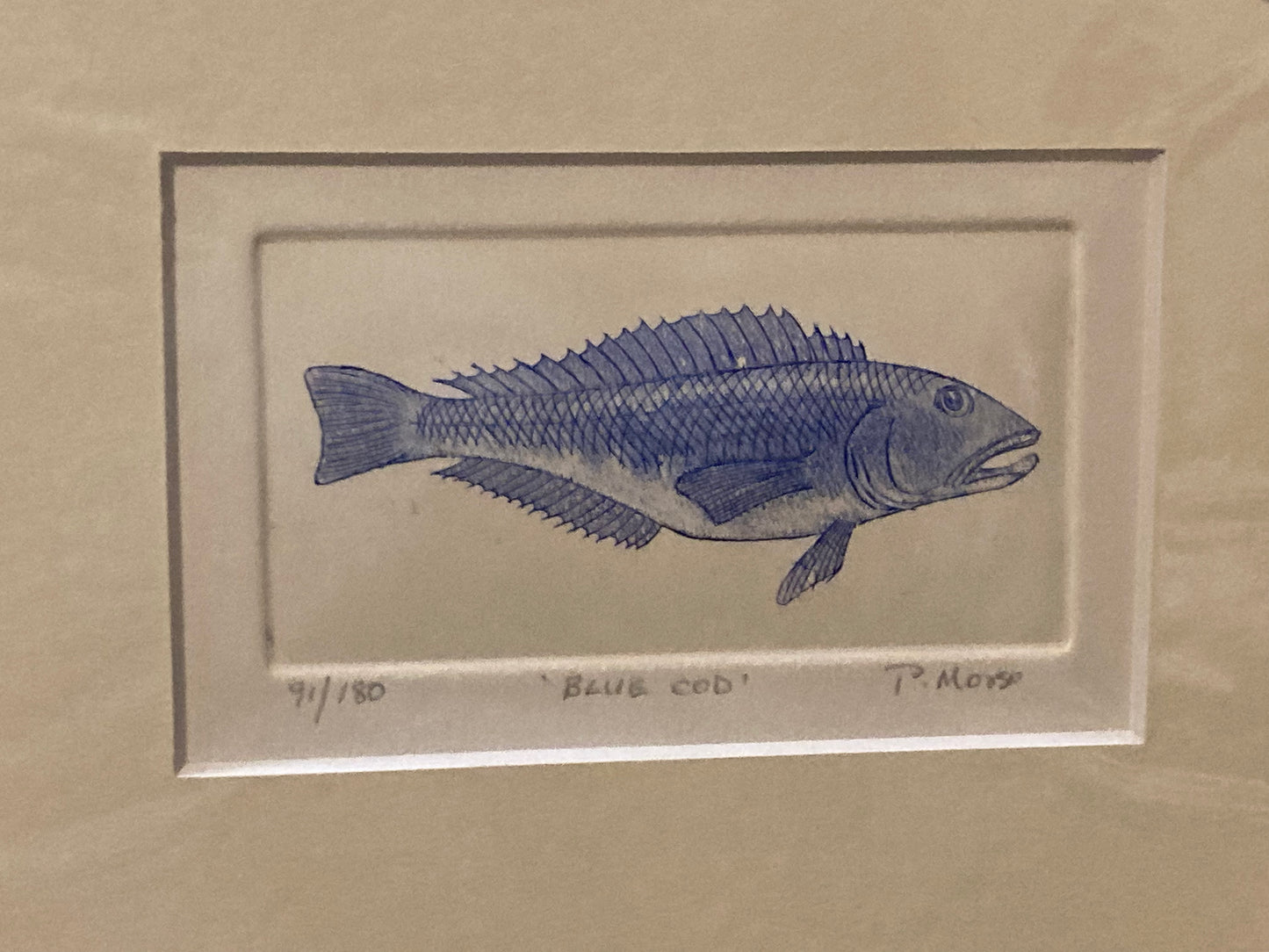 Blue Cod Limited Edition Etching