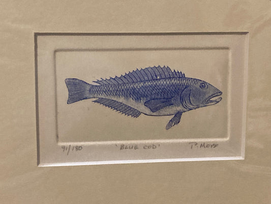 Blue Cod Limited Edition Etching