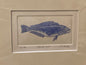 Blue Cod Limited Edition Etching