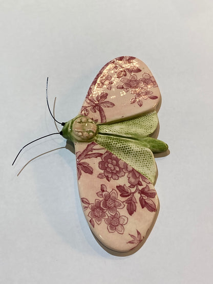 Porcelain Moths