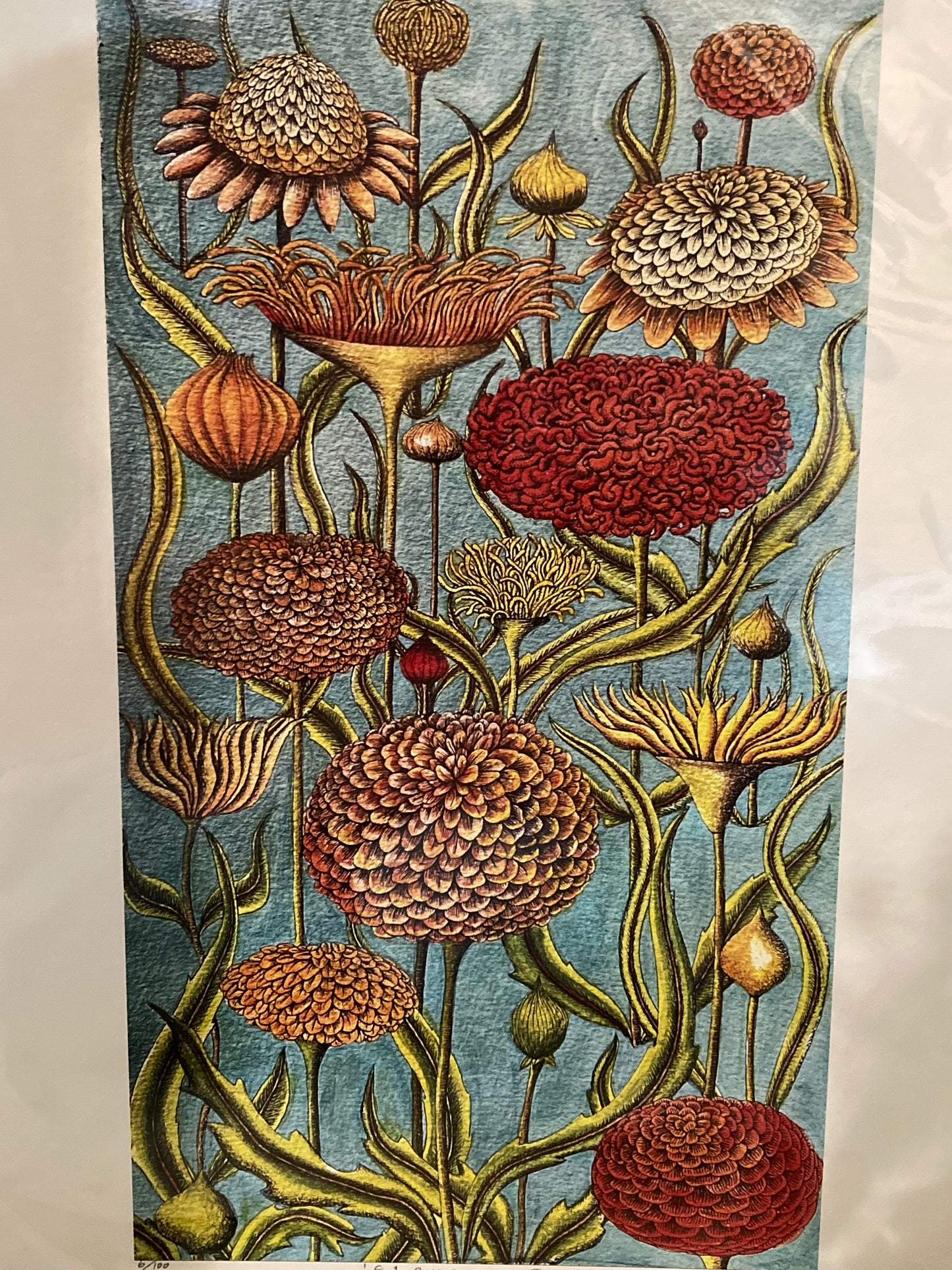 Flowers in Teal - Limited Edition print