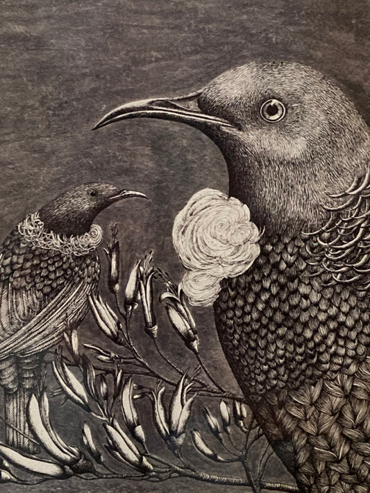 Tuis Limited Edition Print