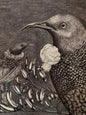 Tuis Limited Edition Print
