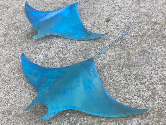 Large Copper Manta Ray - Blue