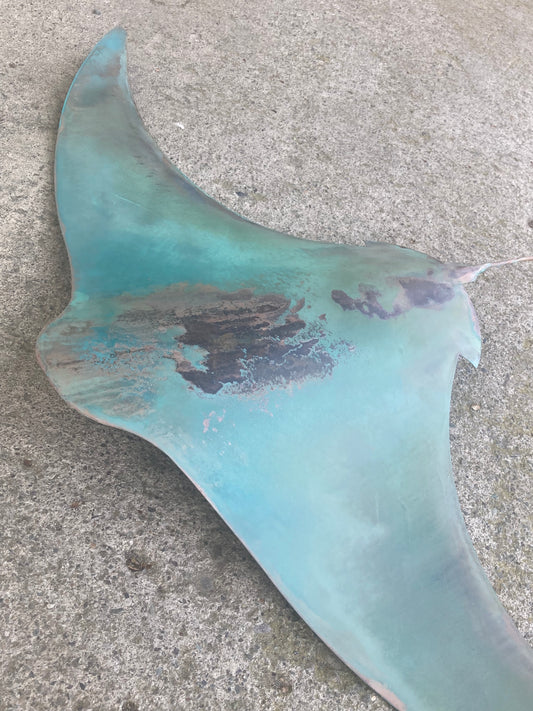 XXXL Large Copper Stingray