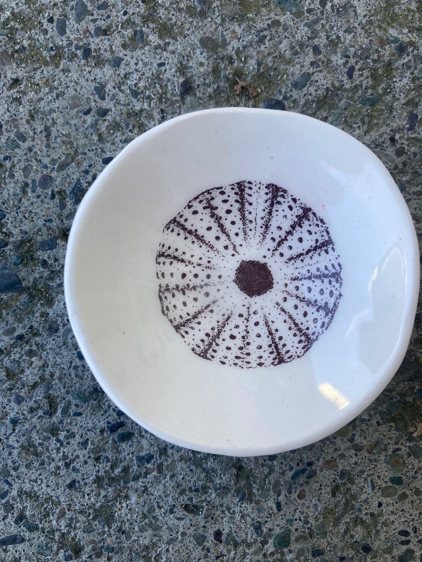 Porcelain Petite Dishes