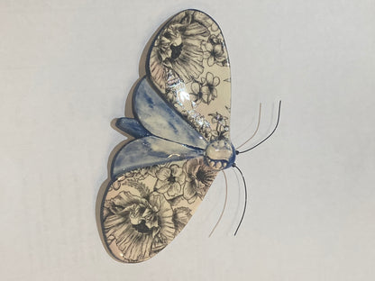 Porcelain Moths