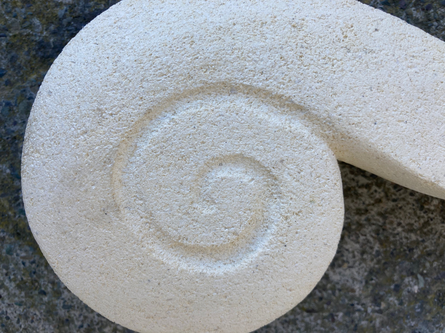Oamaru Stone Koru