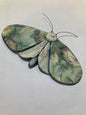 Porcelain Moths